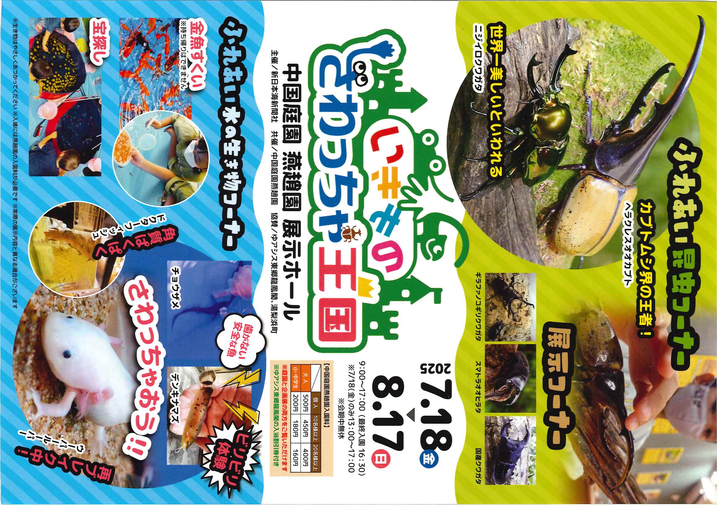 イベント写真